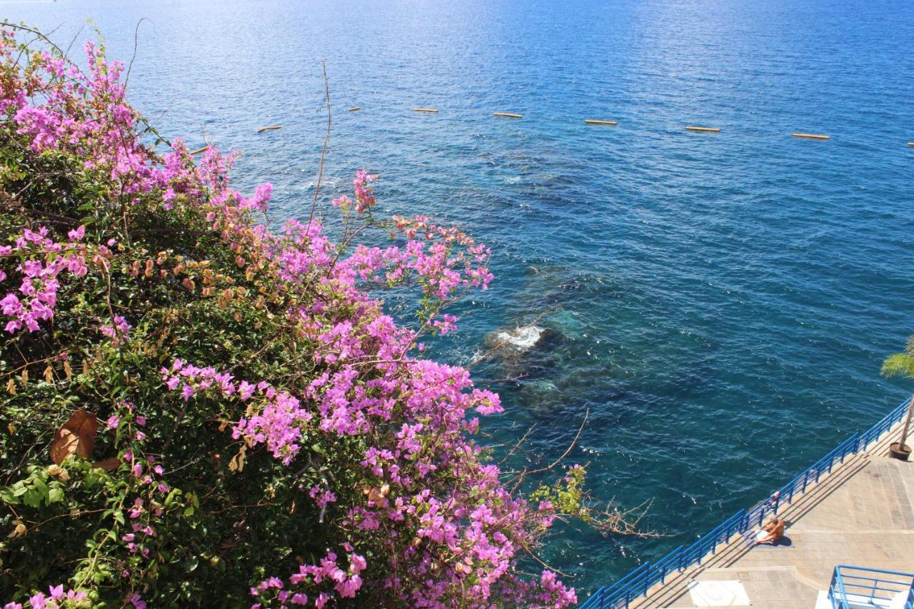 Apartments Madeira Old Town Funchal  Kültér fotó